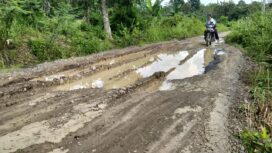 Kondisi jalan kabupaten di Dusun Lawang Agung Desa Tanjung Kupang Baru Kecamatan Tebing Tinggi Empat Lawang hingga ke perbatasan Kabupaten Lahat, (Bento)