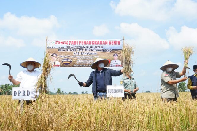 
Herman Deru Jadikan Banyuasin Sebagai Food Estate Penyangga Ketahanan Pangan Nasional