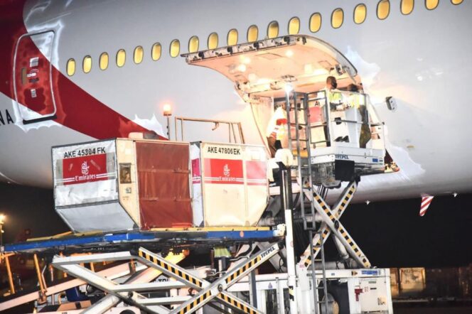 
Indonesia Terus Perjuangkan Kesetaraan Vaksin COVID-19 Bagi Semua Negara