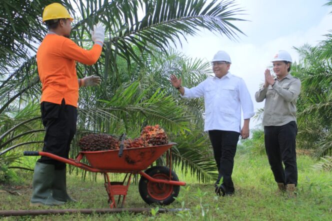 BPDP-KS Abadikan Keberhasilan Joko Widodo- Dodi Reza