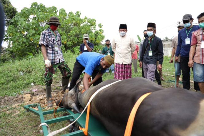 
Herman Deru Apresiasi Alat Potong Hewan Kurban Inovasi Warga Talang Gading Kalidoni