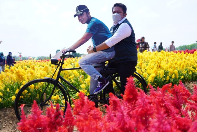 
Resmikan Kampoeng Wisata Ya Samman Cindo, Herman Deru Dorong Jadi Wisata Edukasi Pertanian