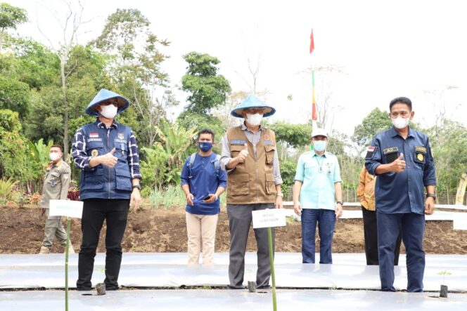 
Gerakan “Stek” Satu Juta Batang Kopi, Dapat Tingkatkan Kualitas Kopi Sumsel