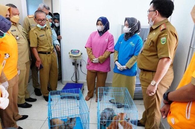 
					Peringati Hari Rabies Sedunia, Pemprov Sumsel Gelar Vaksinasi Hewan Gratis