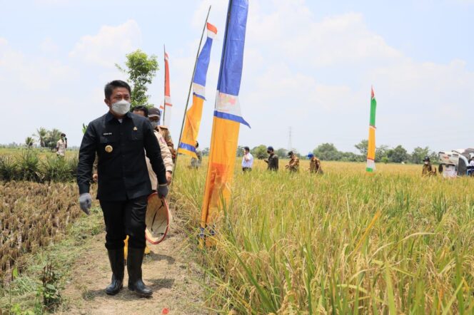 
					Peduli Petani Milenial, Herman Deru Raih Penghargaqn Kepala Daerah Penggerak Tani Preuneur