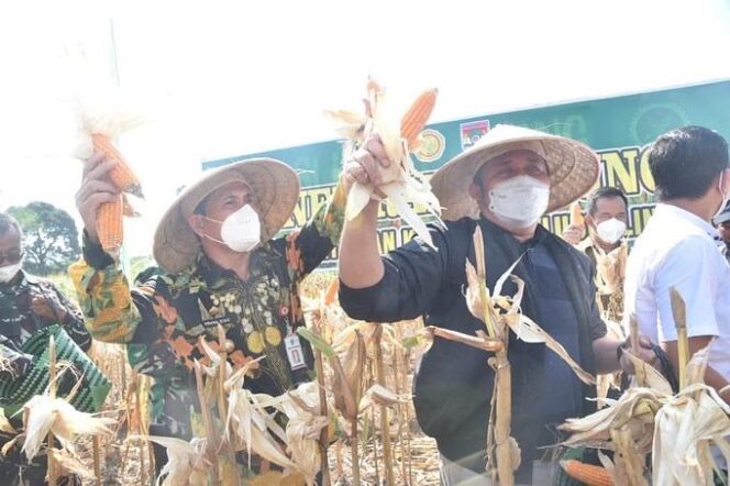 
					Majukan Pertanian, Herman Deru Raih Penghargaan Gubernur Pendukung Gerakan Tanipreneur