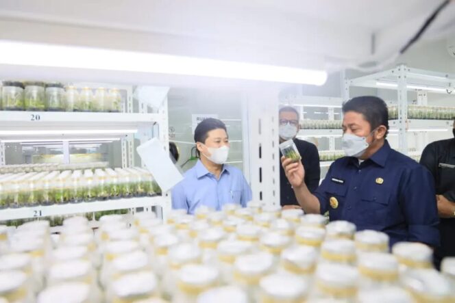 
Herman Deru Gandeng PT GMZ Biomega Utama Kembangkan Bibit Unggul Mendukung Gerakan SMP