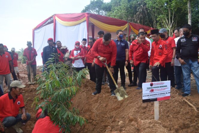 
					Meriahkan HUT ke-49, PDIP Sumsel Gelar Penanaman Pohon