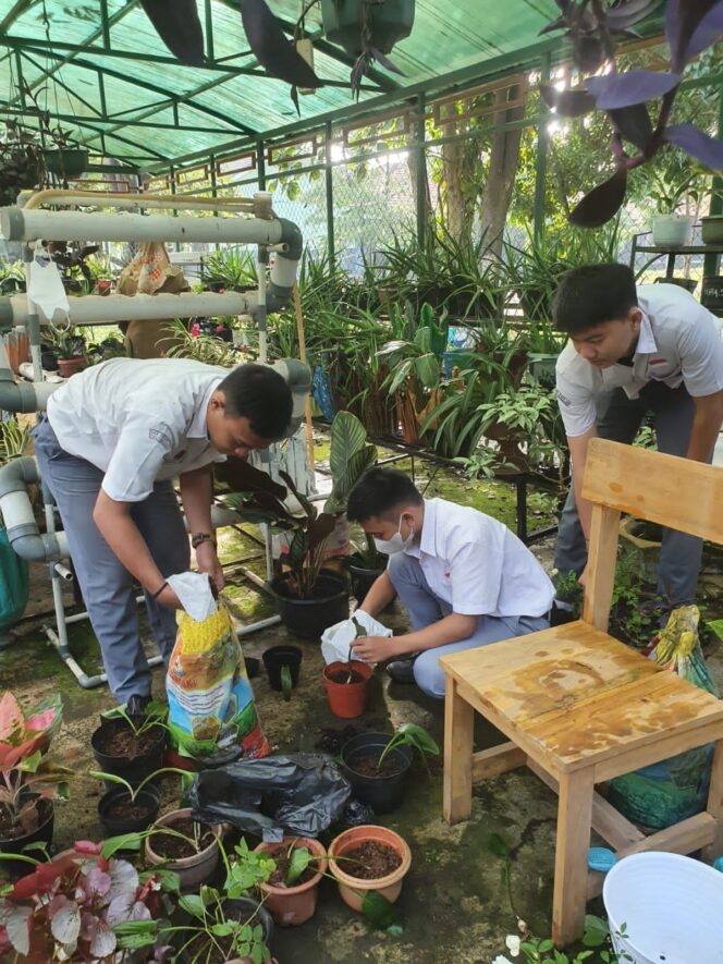 
Dukung Gerakan Sumsel Mandiri Pangan, Siswa SMA Negeri 14 Palembang Tanam Sayuran dan Ternak Lele di Sekolah