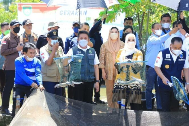 
Dukung GSMP, Pokja Tiga TP PKK Sumsel Bakal Gelar Pelatihan Budidaya Tanaman dan Ikan