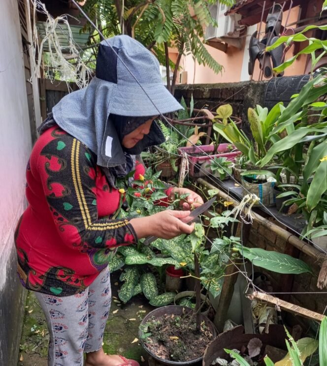 
GSMP Ciptakan Wanita Mandiri Melalui Perkarangan Rumah