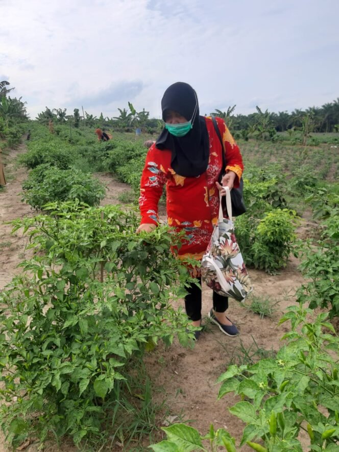 
Warga Kenten Laut Dukung GSMP Inisiasi Herman Deru