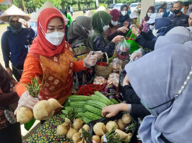 
Feby Deru Pacu GSMP Merata di Penjuru Sumsel Melalui Teknologi Digital Farming