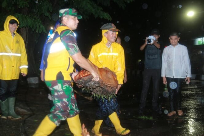 
Pohon Tumbang Karena Hujan dan Angin Kencang, Harnojoyo Langsung Evakuasi