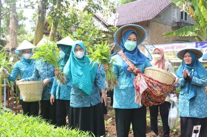 
					Ketua TP PKK Sumsel Feby Deru Motivasi Kader PKK OKU Jadi Panutan Warga