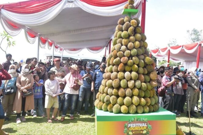 
					Herman Deru: Citarasa Durian Muara Enim, Tak Kalah Dengan Durian Impor