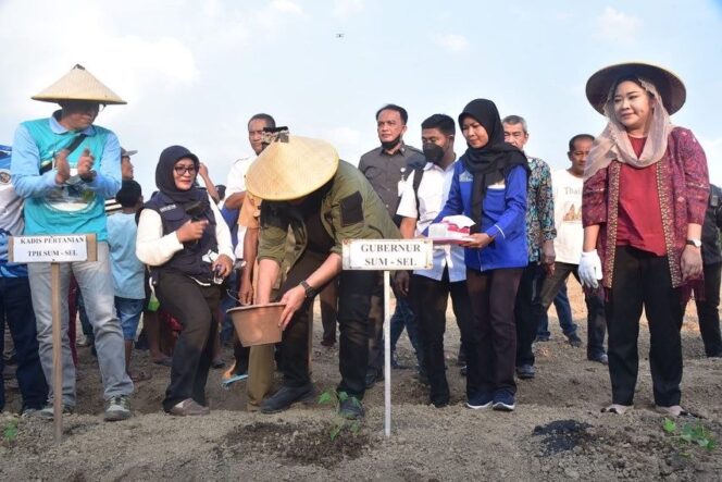 
					Dukung GSMP, Herman Deru Tanam Pepaya California di Desa Minanga Tengah OKU Timur