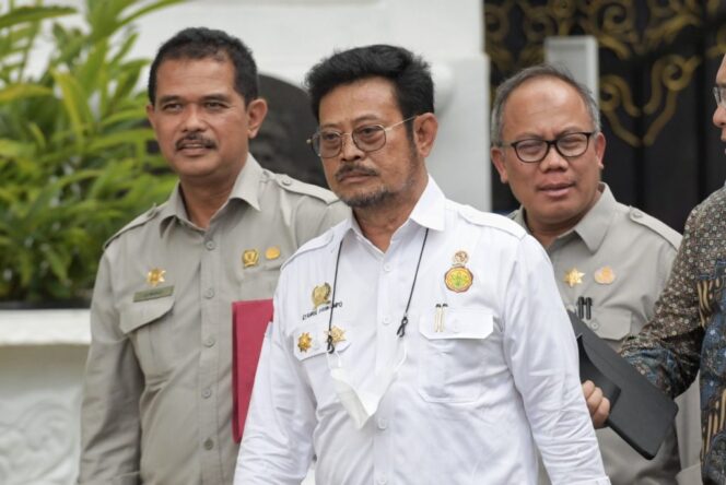 
					Presiden Minta Menteri Pertanian Cek Stok Beras Nasional