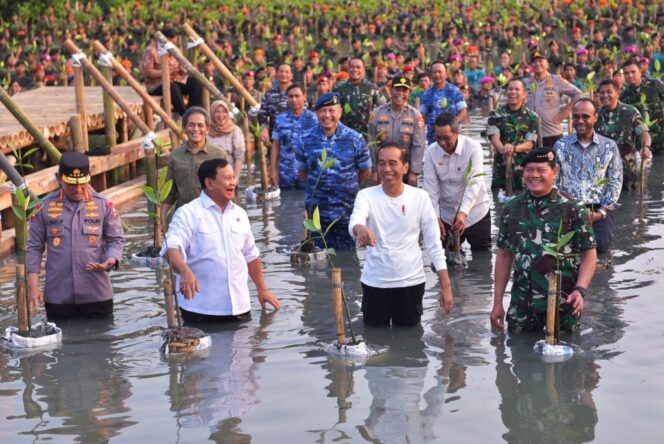 
Tanam Mangrove Bersama, Presiden Jokowi Tekankan Pentingnya Jaga Hutan Mangrove