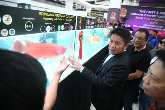 
Herman Deru Yakini Gelaran SAC 1 Geliatkan Ekonomi dan Sarana Edukasi Masyarakat Terkait Ikan Arwana