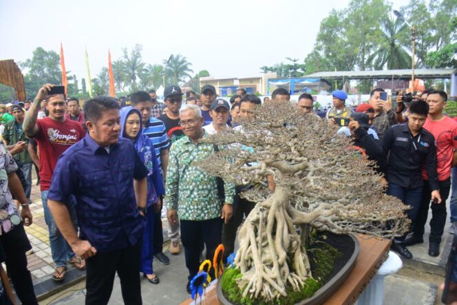 
Herman Deru Yakin Kontes Bonsai dan Lomba Burung Berkicau Bersampak Positid Terhadap Geliat Ekonomi Masyarakat OKU Timur