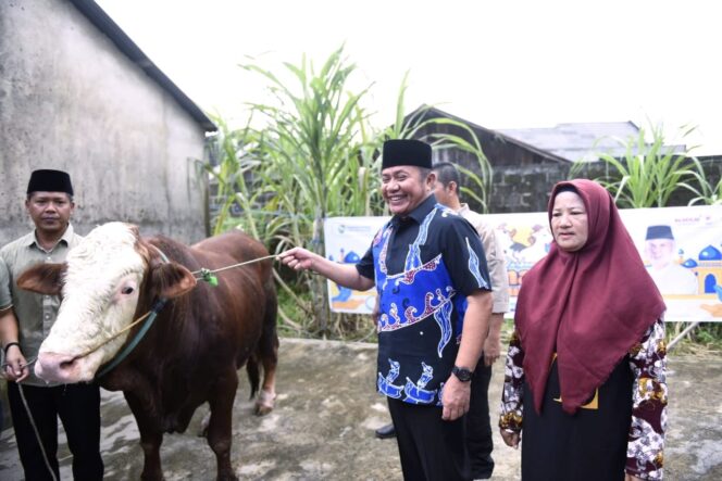 
Berbagi di Hari Raya Idul Adha 1444 H, Herman Deru Serahkan Sapi Qurban ke Sejumlah Masjid