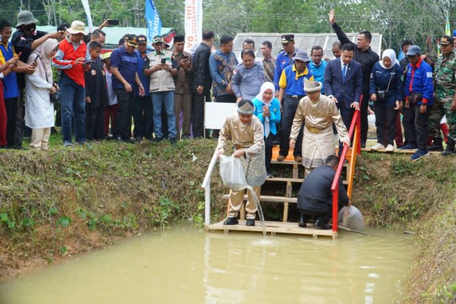 
Kampung Budidaya Ikan Gabus OKU Siap Dukung Program GSMP Inisiasi Gubernur Herman Deru