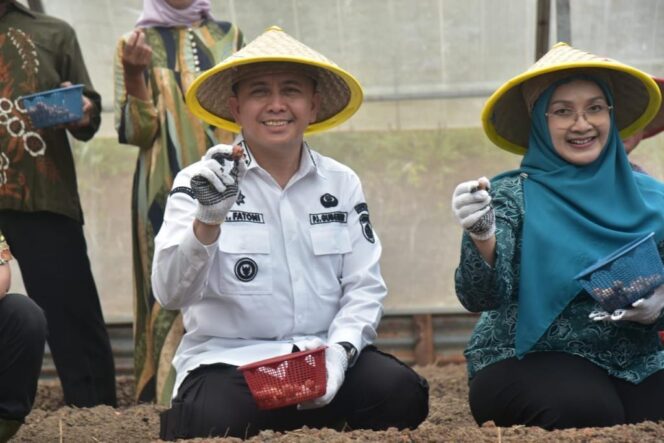 
					Atasi Inflasi, Pj Gubernur Sumsel Agus Fatoni Tanam Bawang di OKU