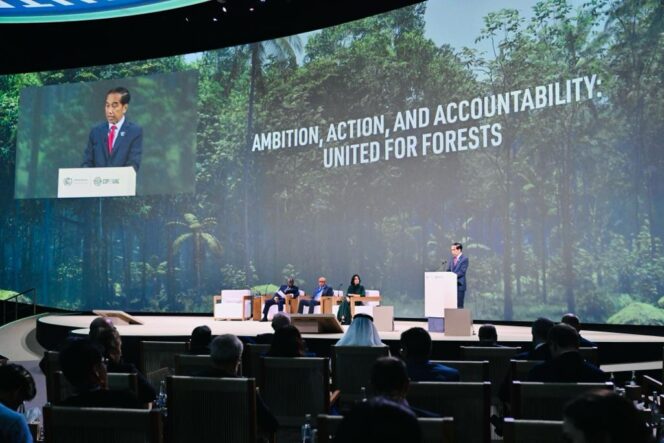 
					Presiden Jokowi Sampaikan Langkah Indonesia Capai Net Carbon Sink Sektor Hutan dan Lahan