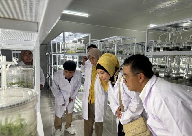 
Dukung Ketahanan Pangan di IKN, Billy Mambrasar Luncurkan Program Petani Milenial Kaltim