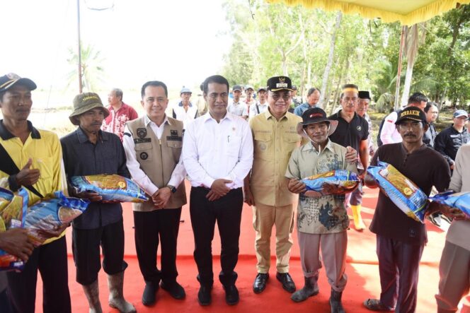 
					Pj Gubernur Sumsel Fatoni: Produktivitas Padi Sumatera Selatan Tertinggi Di Sumatera dan ke-4 Secara Nasional