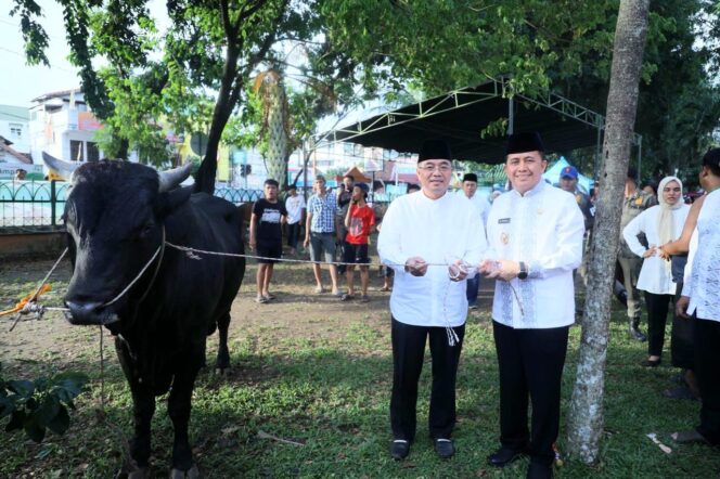 
Pj Gubernur Agus Fatoni Resmikan Gerakan Kurban Serentak se-Sumsel pada Momen Hari Raya Idul Adha 1445 Hijriah