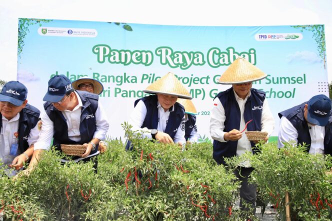 
					Pj Gubernur Elen Setiadi Bersama Kepala Perwakilan BI Sumsel Panen Raya Cabai di Lahan Pilot Project SMKN 1 Gelumbang 