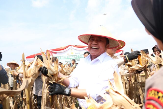 
Herman Deru Apresiasi Polda Sumsel Panen Raya Jagung 8 Ton/hektar Dukung Ketahanan Pangan Nasional