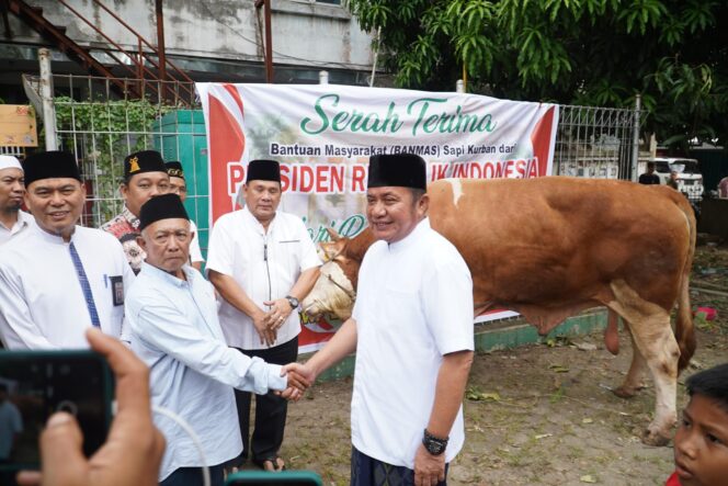 
Herman Deru Tinjau Pemotongan Qurban Usai Shalat Jumat dan Open House Iduladha