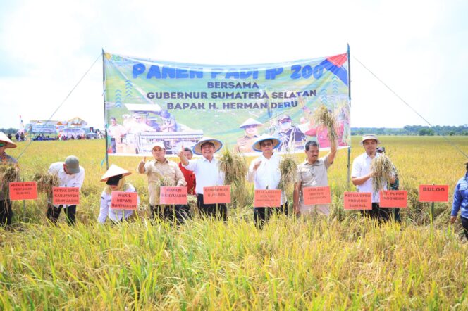 
Herman Deru Panen Raya Padi IP 200 di Banyuasin: Bukti Konsistensi Petani dan Dukungan Pemprov Sumsel