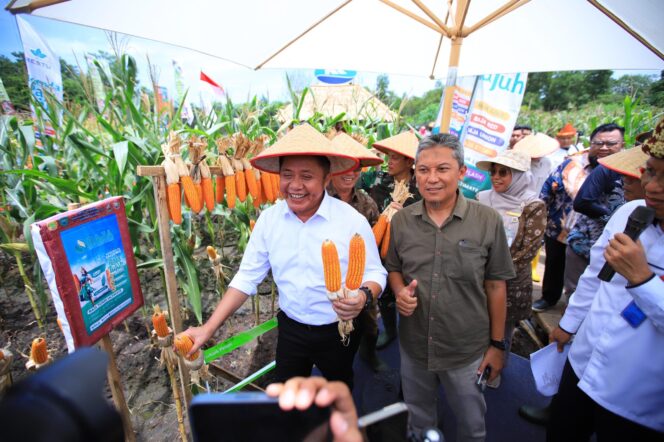 
					Sumsel Raih Apresiasi Kementan atas Inovasi Padi Apung dan Gerakan Mandiri Benih