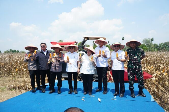 
Tuan Rumah Panen Raya Jagung Serentak Kuartal III, OKU Timur Tunjukkan Sumsel Siap Jadi Lumbung Pangan Nasional