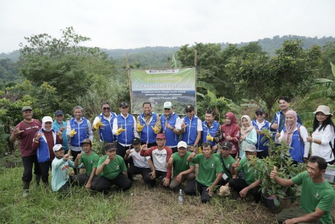 
Pertamina Peringati Hari Jadi dengan Penghijauan Ratusan Hektare Lahan