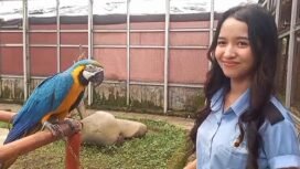 Salah satu jenis burung di Brid Park Palembang. Foto : Jefri/Urban Id
