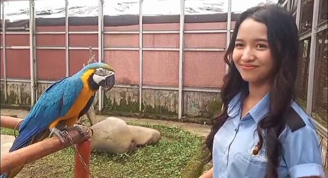 
Salah satu jenis burung di Brid Park Palembang. Foto : Jefri/Urban Id