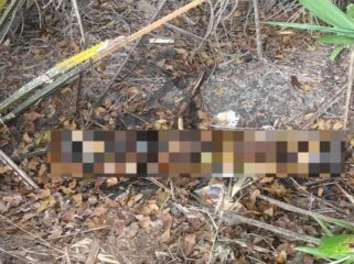 Potongan video penemuan sesosok mayat yang sudah tinggal tulang menghebohkan warga dan beredar luas di berbagai grup WhatsApp/handout