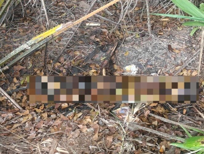 
Potongan video penemuan sesosok mayat yang sudah tinggal tulang menghebohkan warga dan beredar luas di berbagai grup WhatsApp/handout