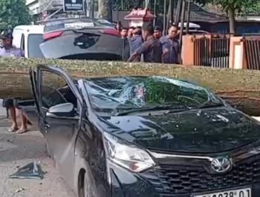 Mobil ringsek akibat pohon tumbang. Foto : Istimewa