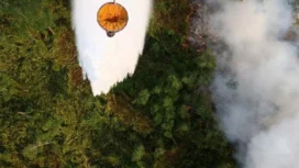 Upaya pemadaman karhutla melalui water bombing di Sumsel. (foto: BPBD Sumsel)
