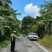 Polisi melakukan olah TKP kecelakaan di Jalan Lintas Komering, Desa Rasuan, Kecamatan Madang Suku I. (Dok. Sat Lantas Polres OKU Timur)