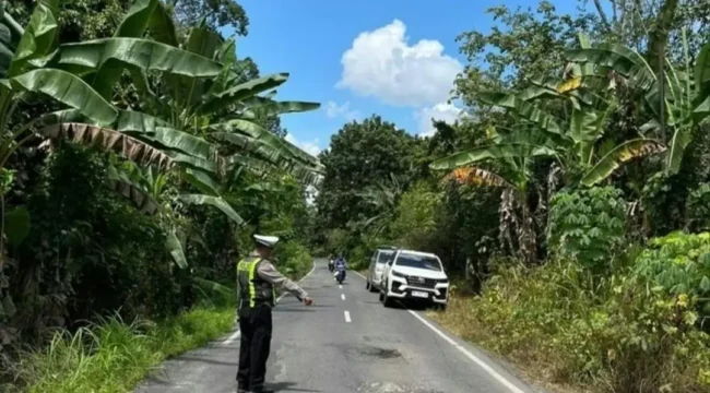 Polisi melakukan olah TKP kecelakaan di Jalan Lintas Komering, Desa Rasuan, Kecamatan Madang Suku I. (Dok. Sat Lantas Polres OKU Timur)