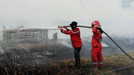 Ilustrasi petugas memadamkan karhutla di Sumsel. (ist)
