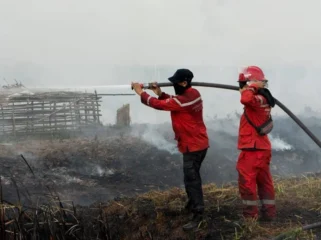 Ilustrasi petugas memadamkan karhutla di Sumsel. (ist)
