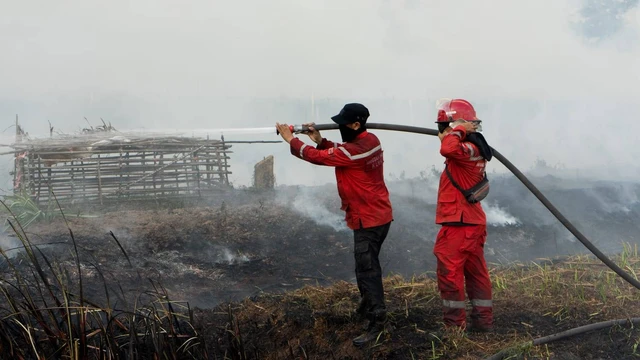 Ilustrasi petugas memadamkan karhutla di Sumsel. (ist)
